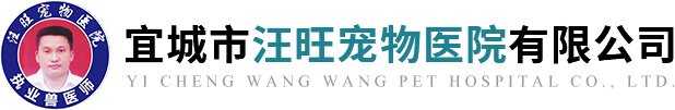 襄陽(yáng)房車(chē)廠(chǎng)logo
